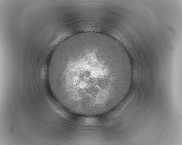 X0000115150165200911101736