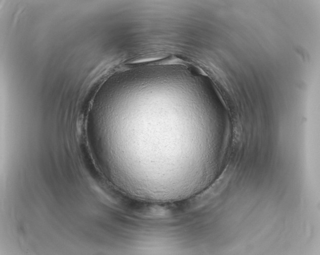 X0000115150166200911101736