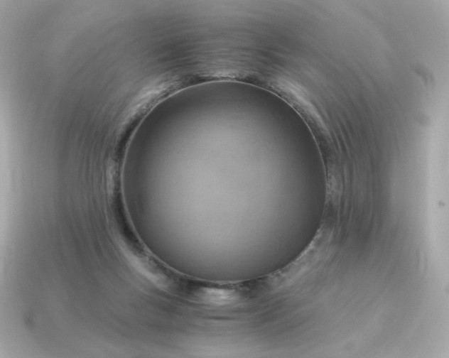 X0000115150167200911101736