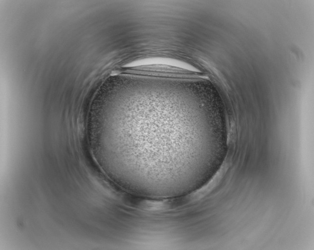 X0000115150170200911101736