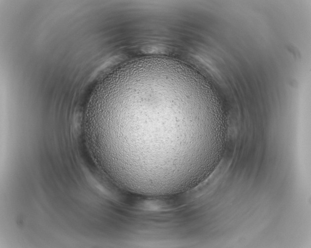 X0000115150171200911101736