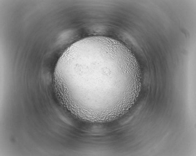 X0000115150173200911101736