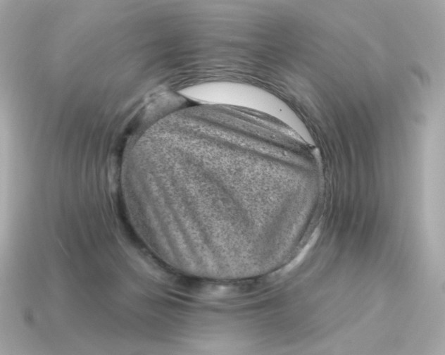 X0000115150174200911101736