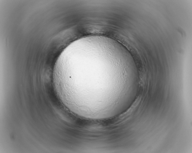 X0000115150175200911101736