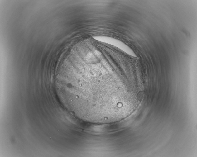 X0000115150178200911101736