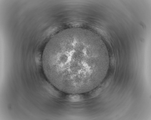 X0000115150181200911101736