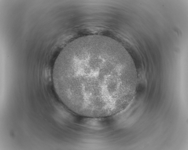 X0000115150182200911101736