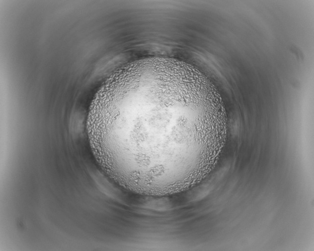 X0000115150185200911101736