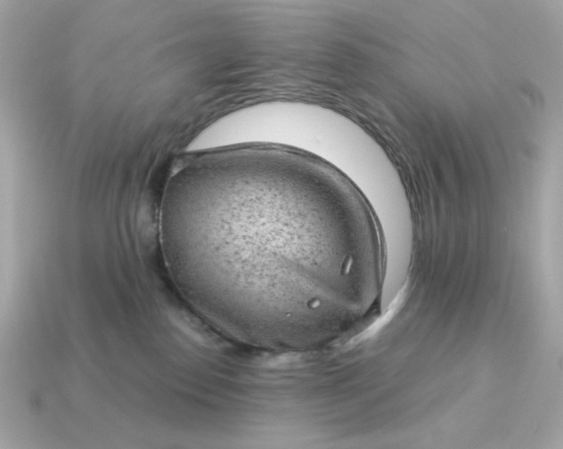 X0000115150186200911101736