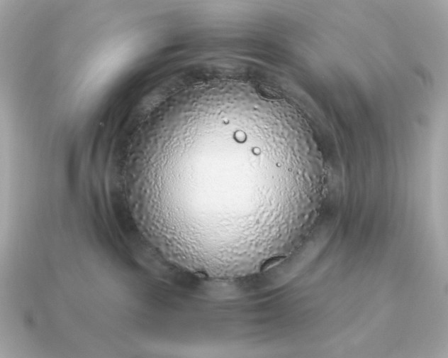 X0000115150189200911101736