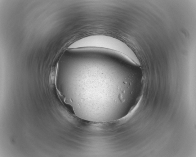X0000115150190200911101736