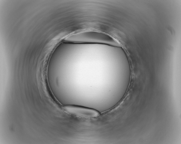 X0000115150193200911101736