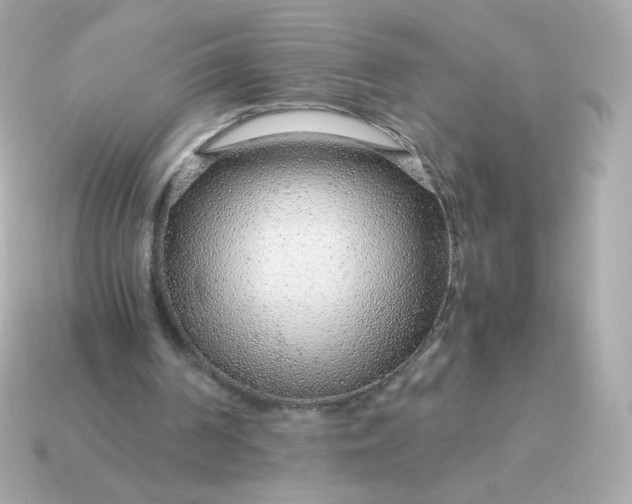 X0000115150194200911101736