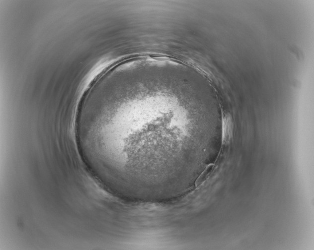 X0000115150195200911101736