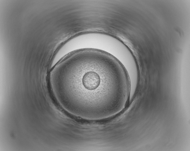 X0000115150201200911101736