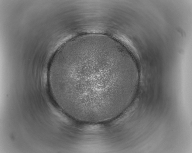 X0000115150202200911101736
