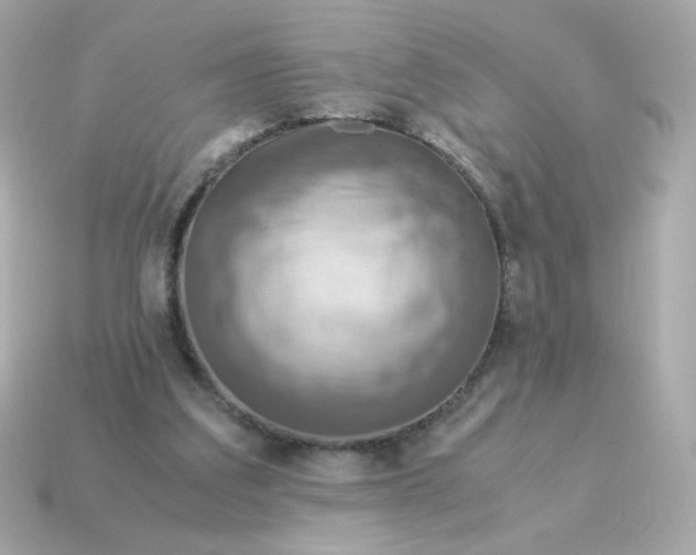 X0000115150203200911101736