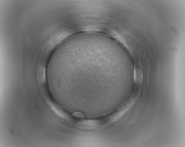 X0000115150205200911101736