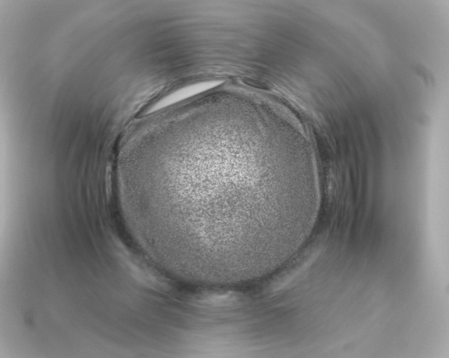 X0000115150206200911101736