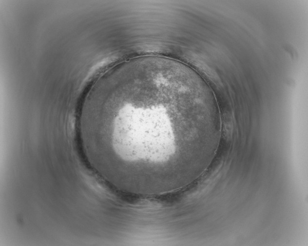 X0000115150207200911101736