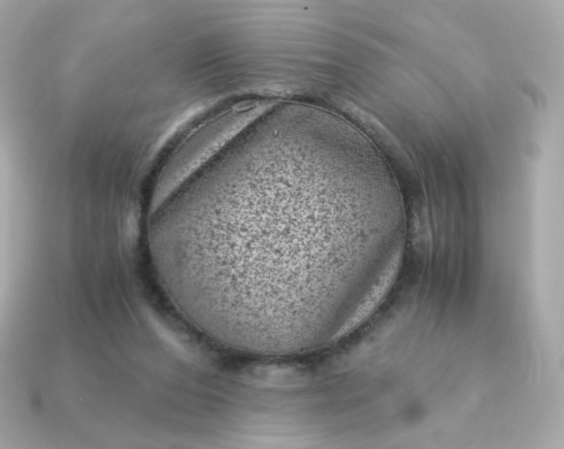 X0000115150208200911101736