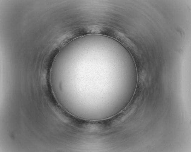 X0000115150209200911101736
