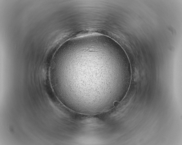 X0000115150210200911101736