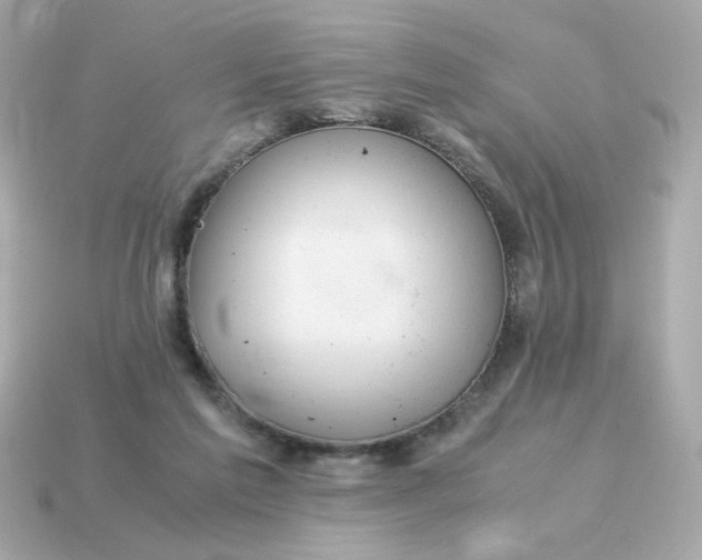 X0000115150213200911101736