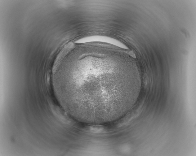 X0000115150214200911101736