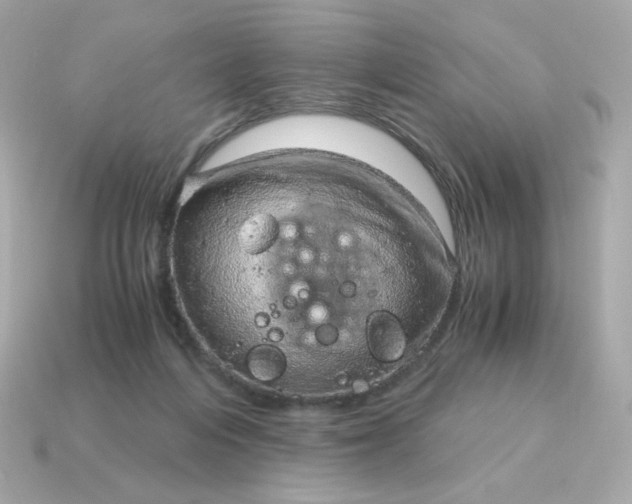 X0000115150216200911101736
