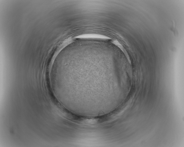 X0000115150217200911101736
