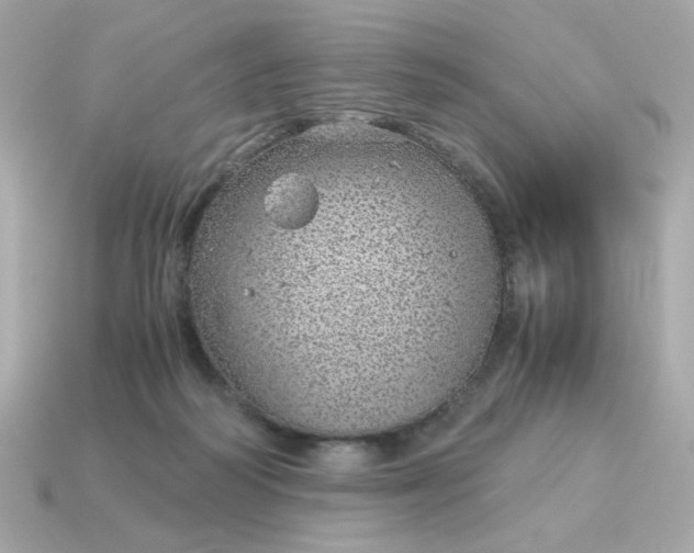 X0000115150218200911101736