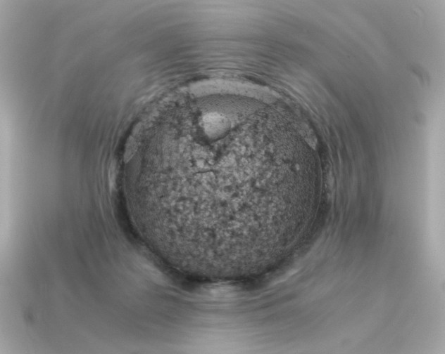 X0000115150219200911101735