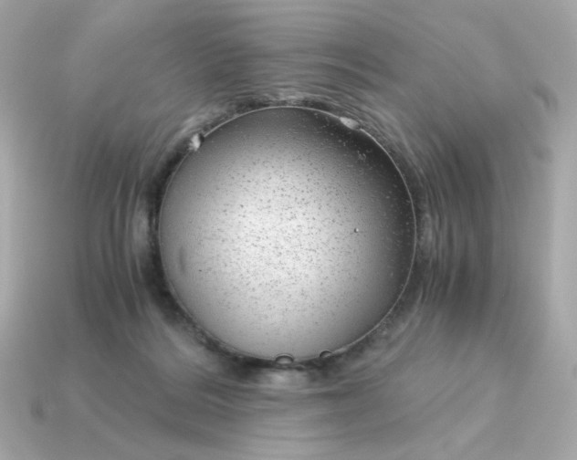 X0000115150220200911101735