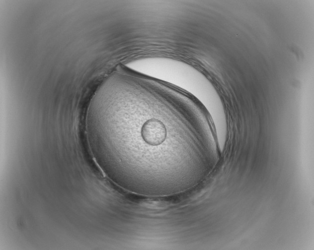X0000115150221200911101735