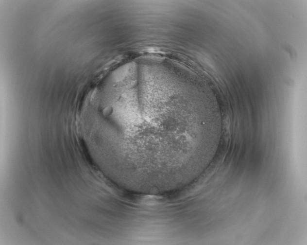X0000115150222200911101735