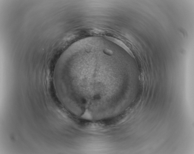 X0000115150223200911101735