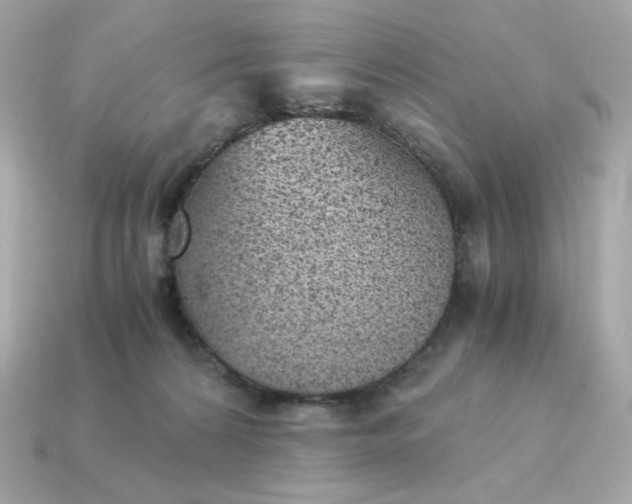 X0000115150224200911101735