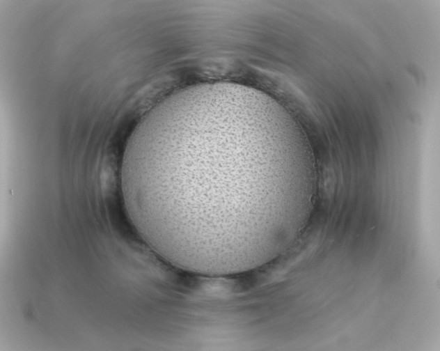 X0000115150226200911101735
