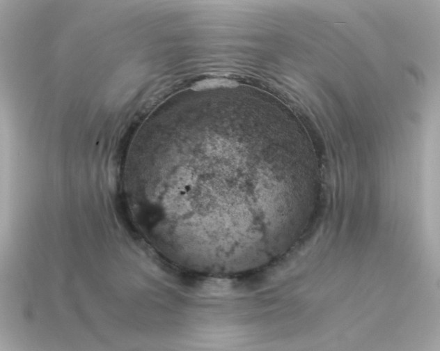 X0000115150227200911101735