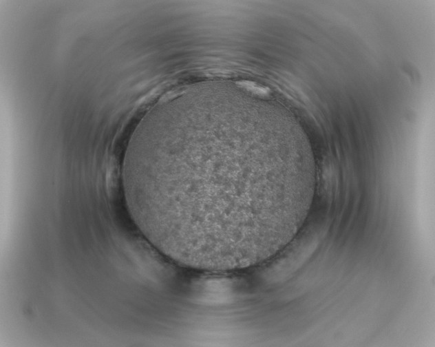 X0000115150228200911101735