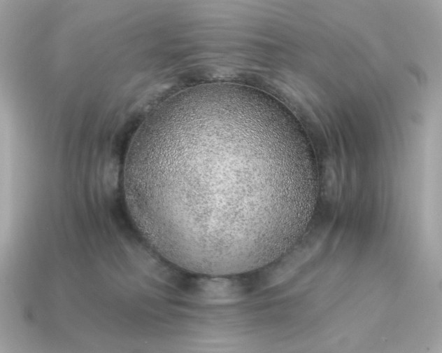 X0000115150230200911101735