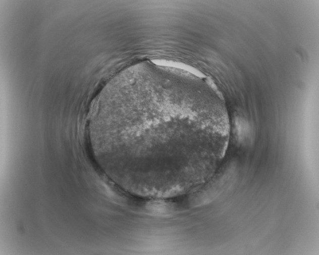 X0000115150231200911101735