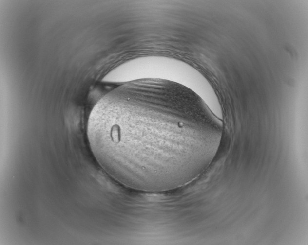 X0000115150233200911101735