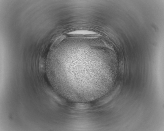 X0000115150234200911101735