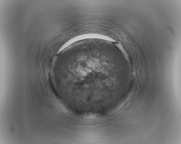X0000115150235200911101735
