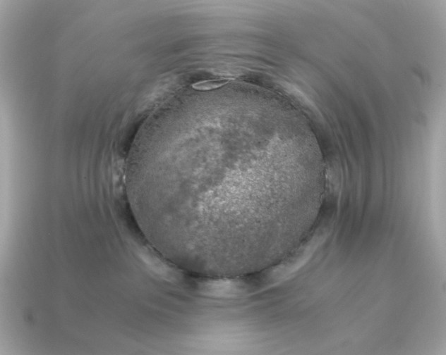 X0000115150237200911101735