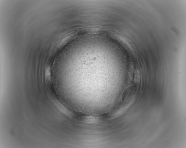 X0000115150238200911101735
