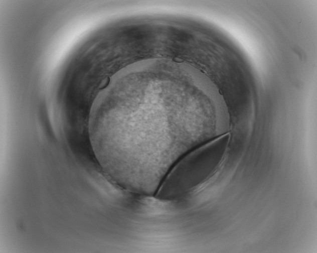X0000115150239200911101735