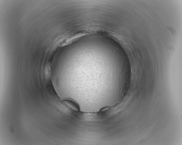 X0000115150240200911101735